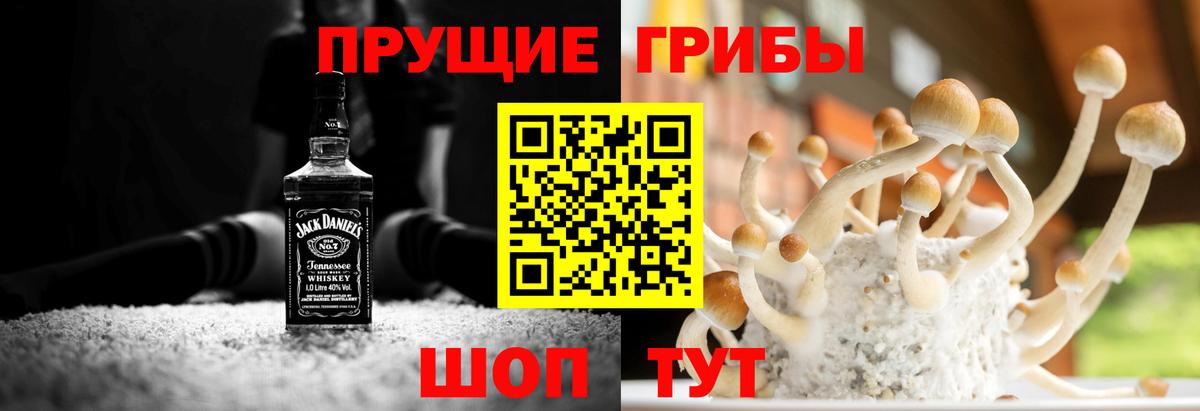 Новокубанск  Псилоцибиновые грибы Magic Shrooms  Вход с VPN  Галлюциногенные грибы Magic Shrooms 